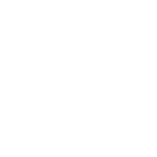Fidorg